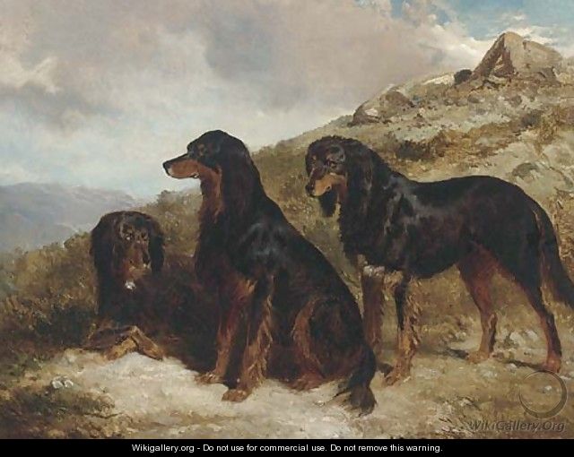 Reuben, Roland, and Rector, black and tan setters in a Highland landscape - Alfred F. De Prades