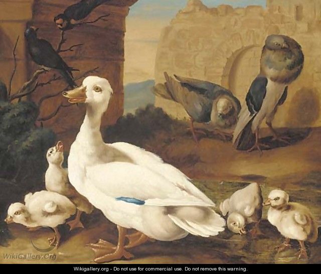 A duck with ducklings, pigeons and swifts before a ruined wall - (after) Jacob Bogdani