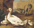 A duck with ducklings, pigeons and swifts before a ruined wall - (after) Jacob Bogdani