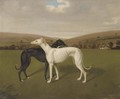 A Pair Of Greyhounds - (after) Jacques Laurent Agasse