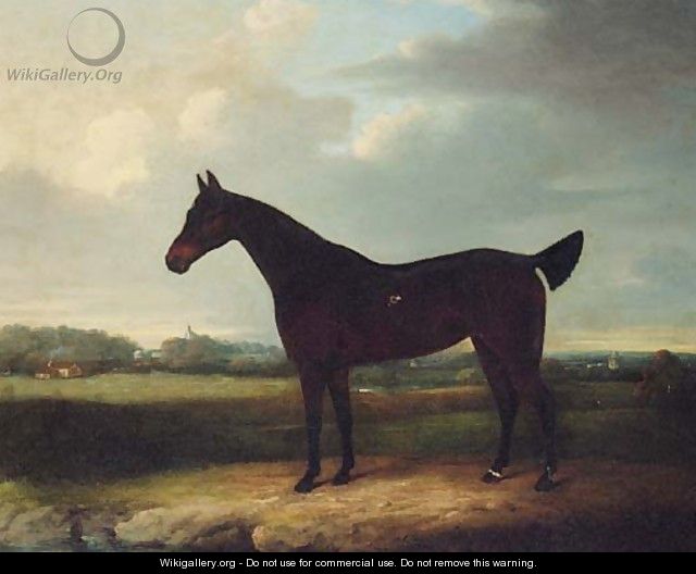 A dark bay Racehorse in an extensive Landscape, thought to be Newmarket - (after) Henry Bernard Chalon