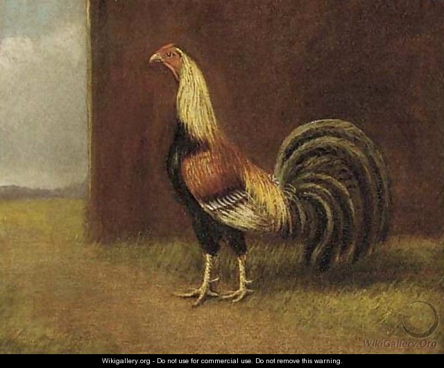 A game cock - (after) Henry Thomas Alken