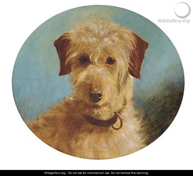 A terrier - (after) George Earl