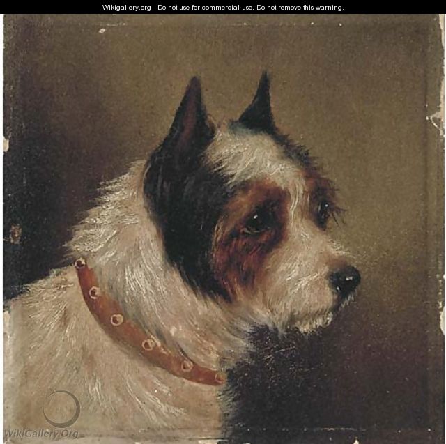 The head of a terrier - (after) George Armfield