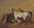 An Arab stallion tethered before a bedouin tent - (after) Franz Kruger