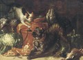 A dog and a cat in a kitchen interior with game and vegetables - (after) Felice Boselli