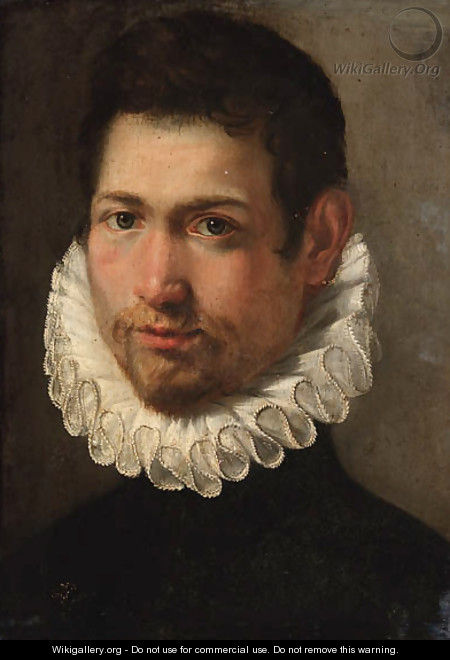 Portrait of a young man - Federico Fiori Barocci
