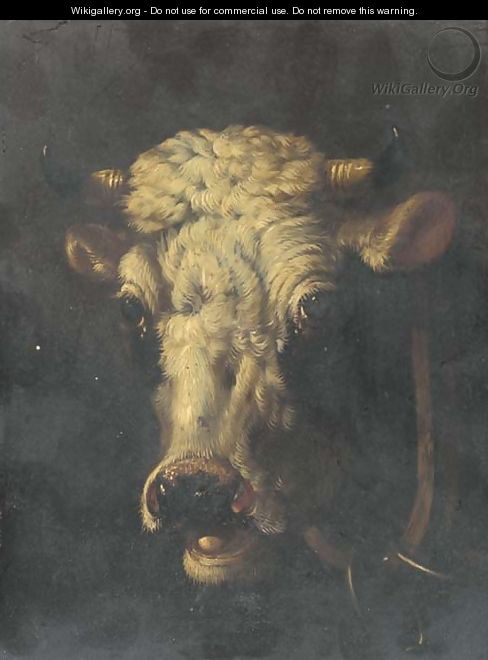 Studies of cattle - (after) Eugene Joseph Verboeckhoven