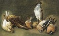 A study of songbirds - (after) Eugene Joseph Verboeckhoven