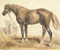 A bay stallion in profile to the right - (after) Eugene Delacroix