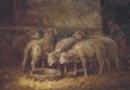 Sheep watering in a stable - (after) Charles Emile Jacque