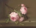 Roses on a ledge, a butterfly and a beatle - (after) Cornelis Van Spaendonck