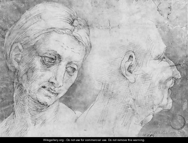 The heads of a woman and a man - (after) Bartolomeo Bandinelli