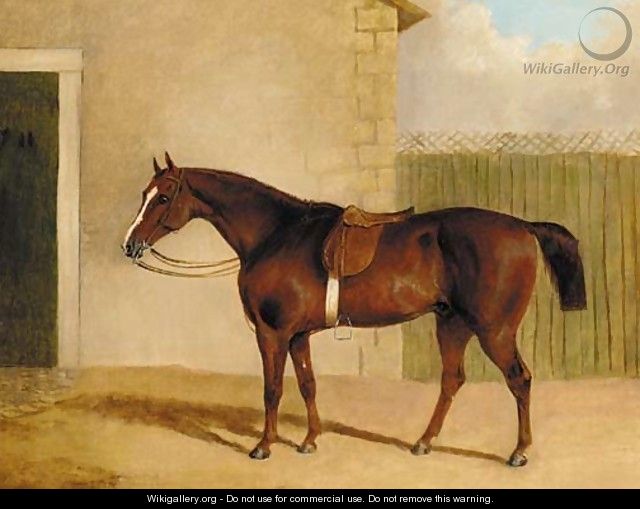 A saddled brown hunter by a stable - (after) Albert Clark