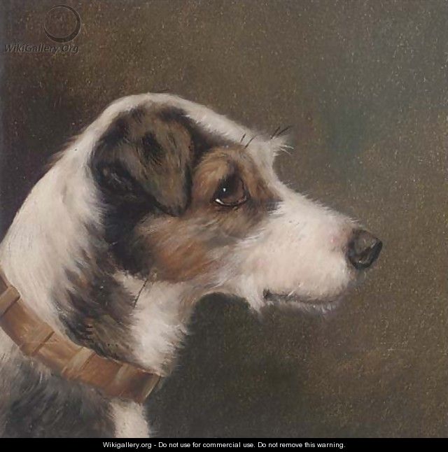 Portrait of a terrier - (after) Alfred Wheeler