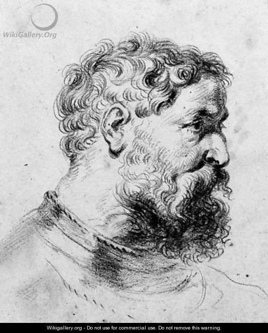 Head of a bearded soldier turned to the right, after Sir Peter Paul Rubens - (after) Watteau, Jean Antoine