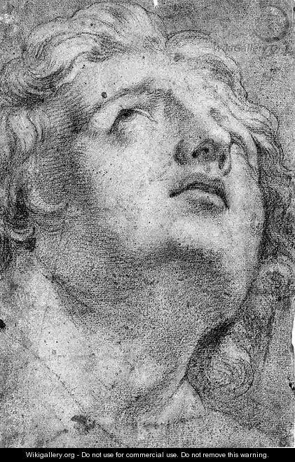 The head of Alexander the Great - (after) Annibale Carracci