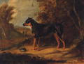 A Black And Tan Terrier - (after) Ramsay Richard Reinagle
