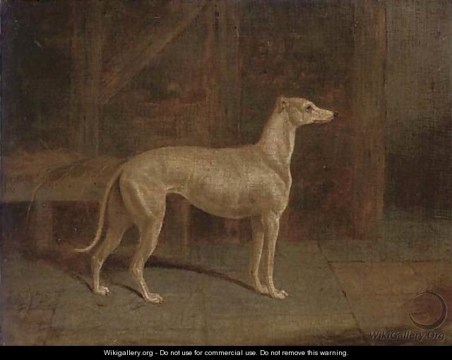A prize greyhound in an interior - (after) Samuel Spode