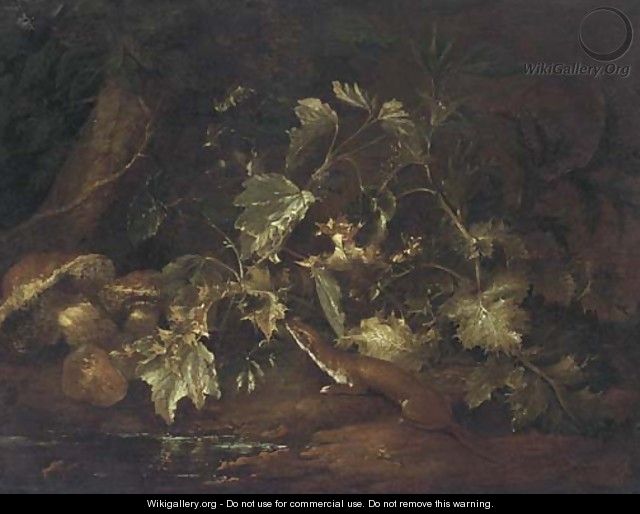 A forest floor still life with a stoat beside a pool - (after) Paolo Porpora
