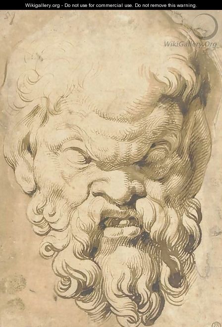 Head of a Satyr - (after) Rubens, Peter Paul