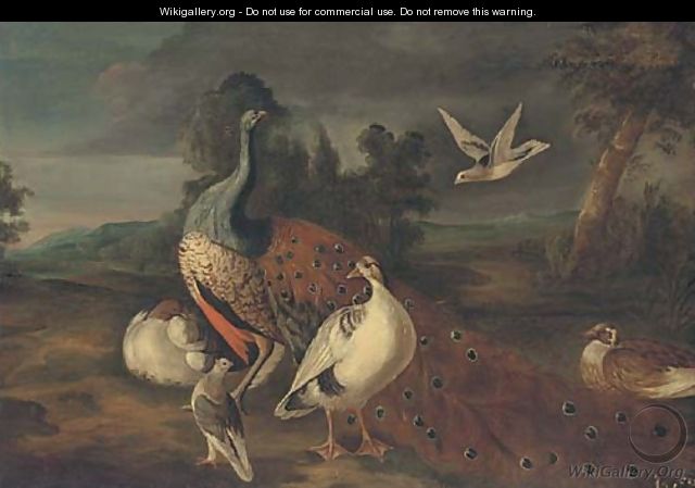 A peacock, woodpigeons and other fowl in an extensive landscape - (after) Marmaduke Cradock
