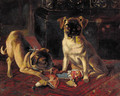Trouble in store, two pugs - (after) Margaret Collyer