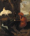 A cockerel, a raven and chickens in a clearing - (attr. to) Hondecoeter, Melchior de