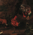 A mallard, two cockerels and ducklings in a landscape - (attr. to) Hondecoeter, Melchior de