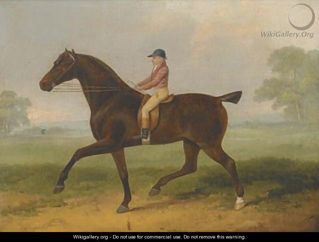 A racehorse with jockey up - (after) John Nott Sartorius