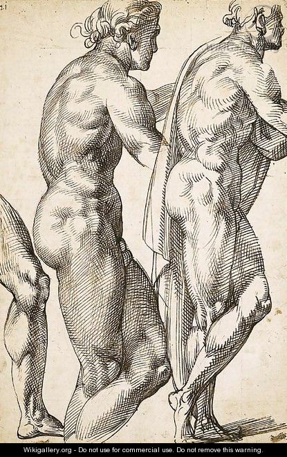 Study of a nude in profile to the right, with a subsidiary study of the same and of the leg - Bartolomeo Passarotti