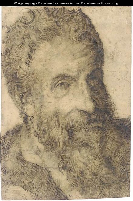 Portrait of a bearded man looking to the right, said to be Pellegrino Tibaldi - Bartolomeo Passarotti