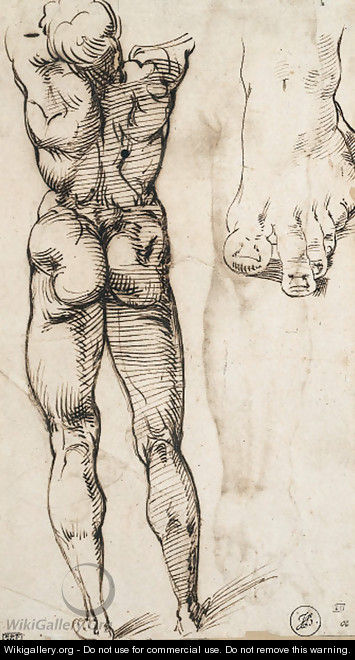 A nude seen from behind and a study of a foot - Bartolomeo Passarotti