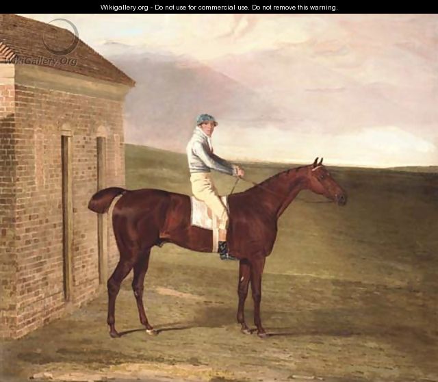 Burleigh, a chestnut racehorse, with Sam Chifney up, at Newmarket - Benjamin Marshall