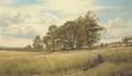 Summer Time Through the Hayfield, Worcestershire - Benjamin Williams Leader