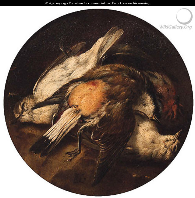 Dead Birds - Baldassare de Caro