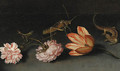 Carnations, a parrot tulip, a grasshopper and a lizard on a ledge - Balthasar Van Der Ast