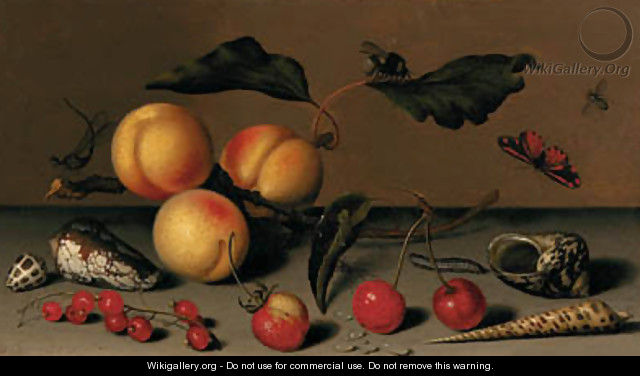 Apricots on a stalk, cherries, a wild strawberry, redcurrants, shells, a butterfly, a bee, a spider, a fly, a caterpillar and a dragonfly on a ledge - Balthasar Van Der Ast