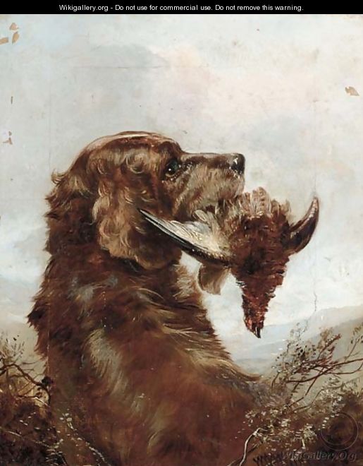 A gun dog with a grouse - (after) William Woodhouse