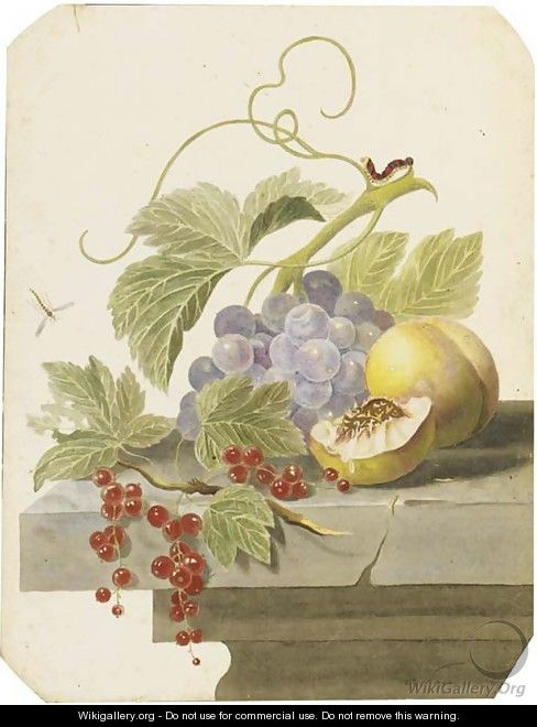 Still life with grapes, peaches and red currants on a ledge - (after) Willem Van Leen