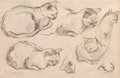 Studies of cats - Auguste-Joseph Carrier