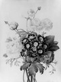 A bunch of peonies and other flowers - (after) Alfred Renaudin
