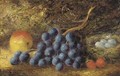 Grapes, an apple - (after) Thomas Collier