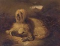 A Skye terrier with a hare - (after) Thomas Earl