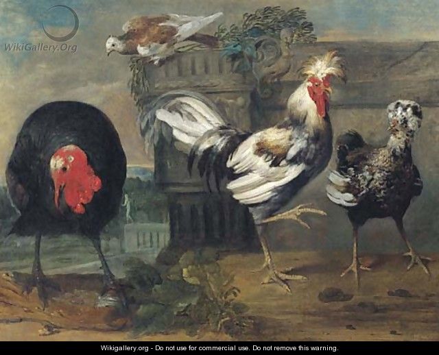 Two crested chickens, a turkey and a dove in an architectural landscape - (after) Pieter III Casteels