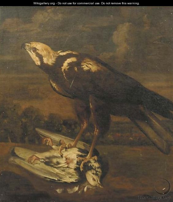 A falcon with a dead pigeon - (after) Ferdinand Phillip De Hamilton