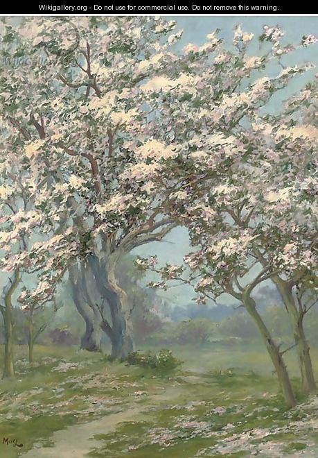 Spring blossom - (after) John Stewart Maclaren