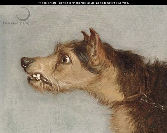 The head of terrier; and The head of lurcher - (after) Martin Theodore Ward