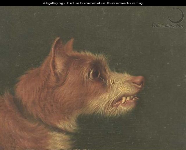 Snarling terriers - (after) Martin Theodore Ward