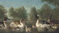 Ducks on a pond with a pavilion beyond - (after) Marmaduke Cradock